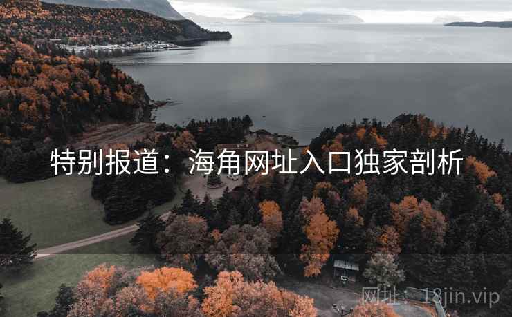 特别报道：海角网址入口独家剖析